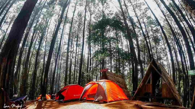 Wisata Hutan Pinus Gorontalo